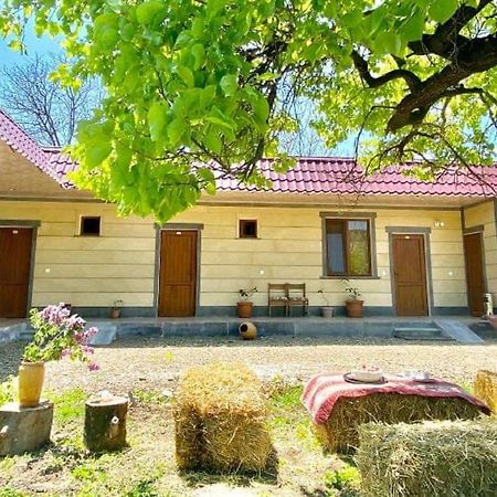 Aghasu Tun B&B Odzun 外观 照片